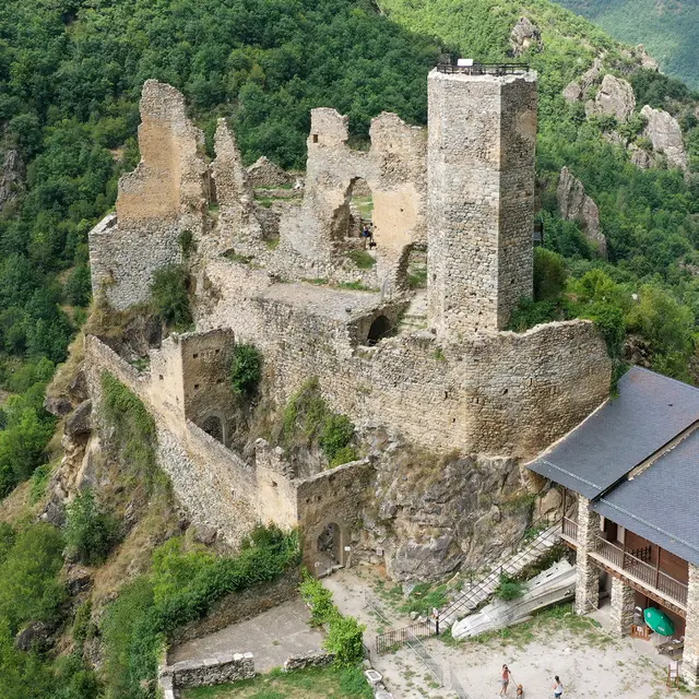 Créneau Tropical_Rouze