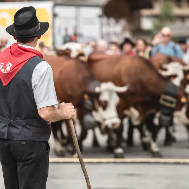 Foire st Maurice