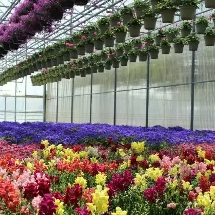 Visite guidée de l'exploitation horticole Valbray  #JEP2026_Ollioules