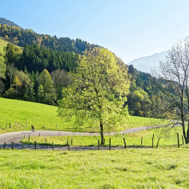 Col de la Forclaz