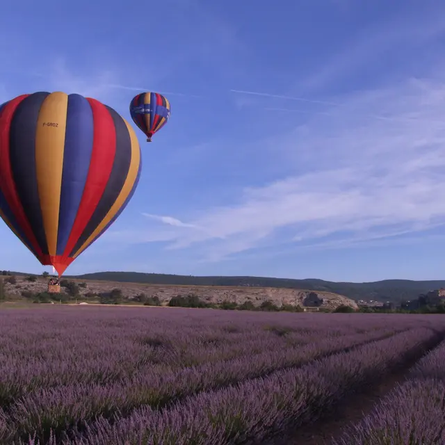 Ballon au dessus d'un champ de lavande