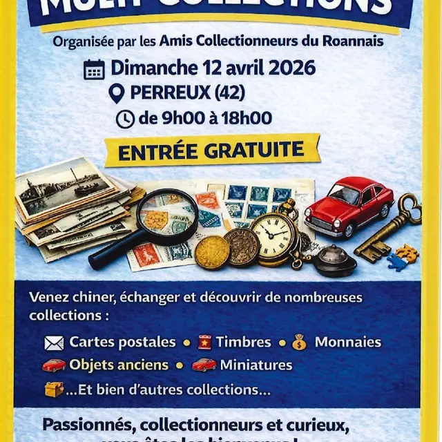 Bourse aux multi-collections_Perreux