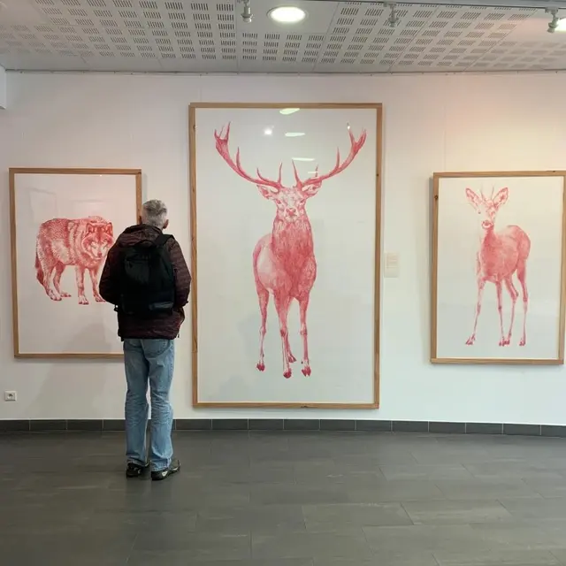 Les expos du château - octobre_Gréoux-les-Bains