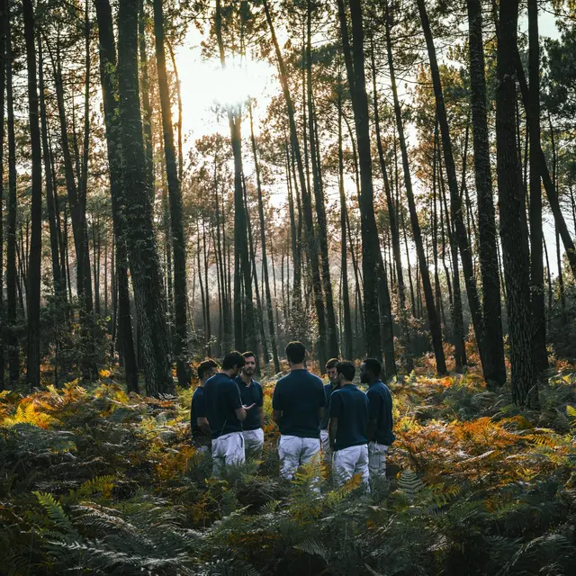 Concert - Boulevard des Airs au Fil_Saint-Étienne
