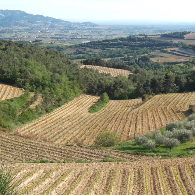 Domaine Du Bramadou