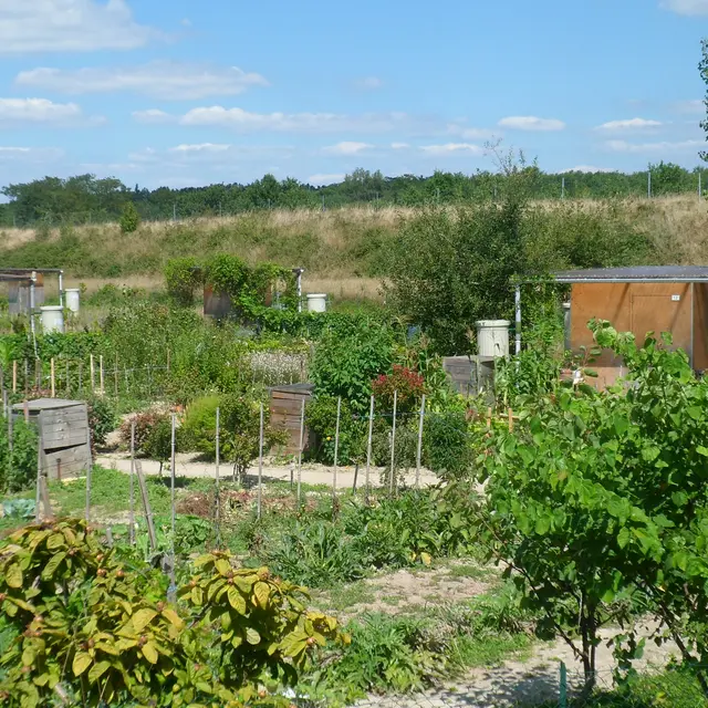 Jardins Familiaux