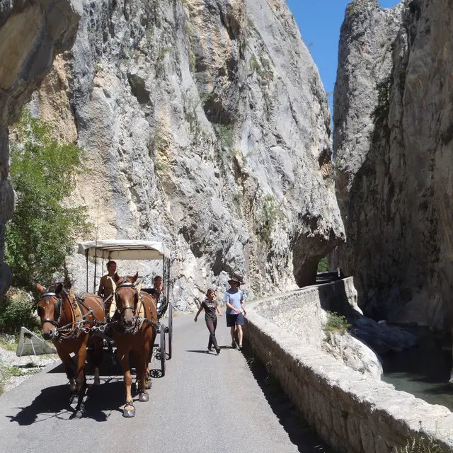 Balade en calèche dans les Clues de Barles