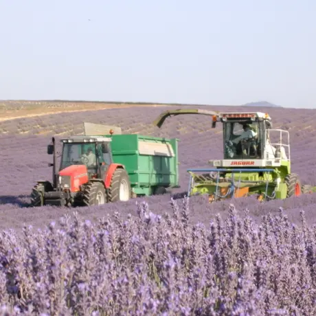 Le Gaec de la Grange du Bois