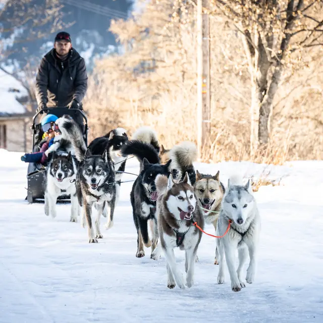 Nunatak Chiens de Traîneau