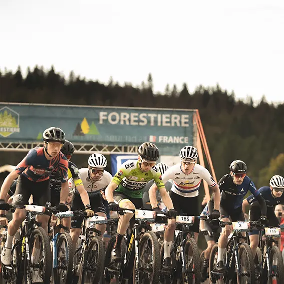 La Forestière_Arbent