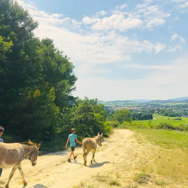 Balade avec des ânes au départ de La Tour d'Aigues_La Tour-d'Aigues