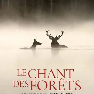 Comité d'animation - Cinébus : Le chant des forêts_Saint-Pierre-de-Chartreuse