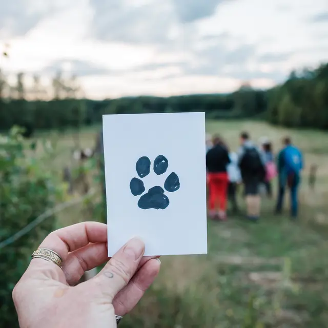 Traces et indices de la faune sauvage_Saint-Martin-d'Uriage