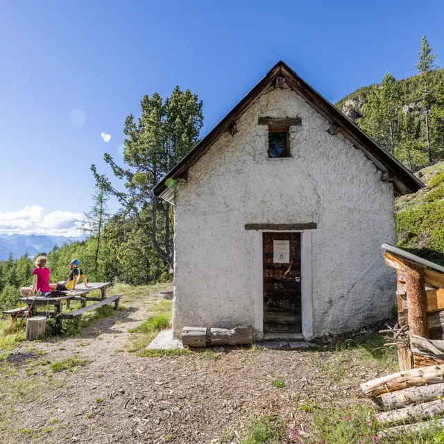 La Cabane de la Pinée