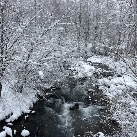 Balade découverte le lac de Campauleil et la Passade_Ax-les-Thermes