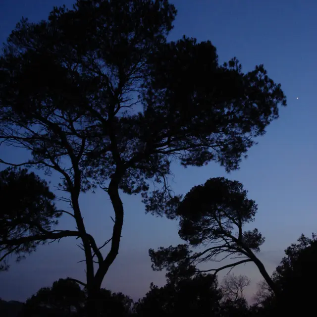 Point rencontre : Balade nocturne (Porquerolles)_Hyères