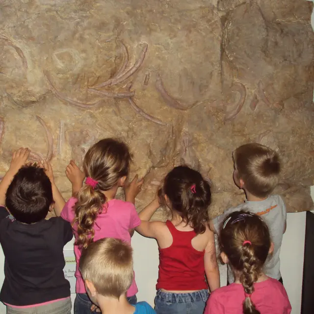 Atelier Le petit géologue_Castellane