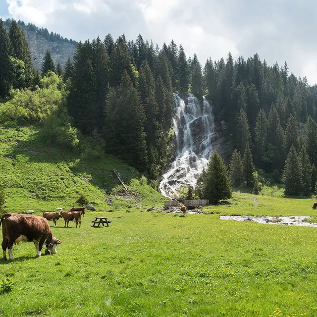 Cascade des Brochaux