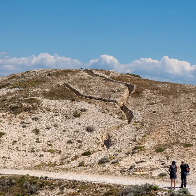 Association Frioul Nouveau Regard_Marseille