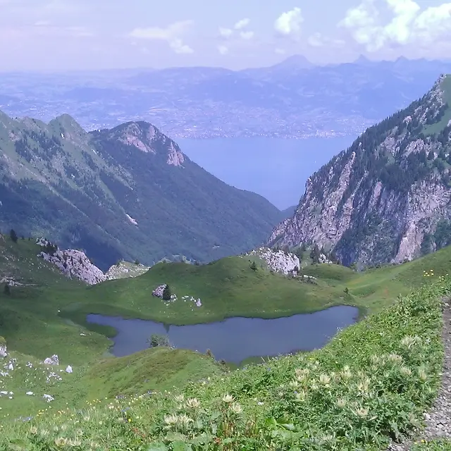 Au royaume des bouquetins