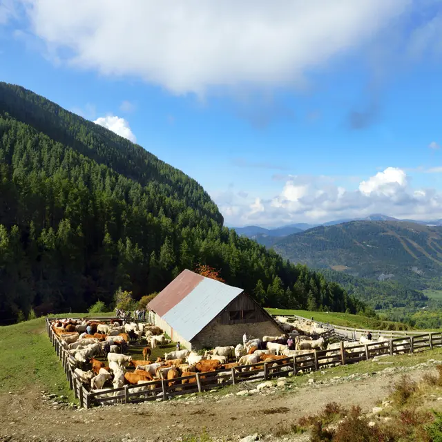 La Cabane des Mulets