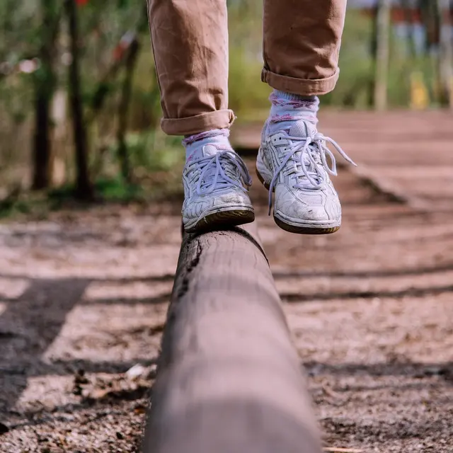 Entre Midi et Science - La proprioception : notre sixième sens ?_Chambéry