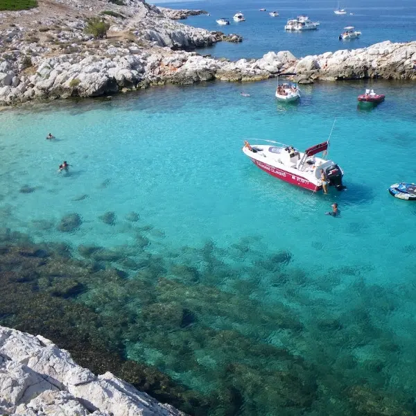 Bleu Evasion Marseille.jpg