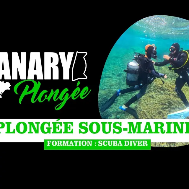 Sanary Plongée : Scuba Diver (Formation)_Sanary-sur-Mer
