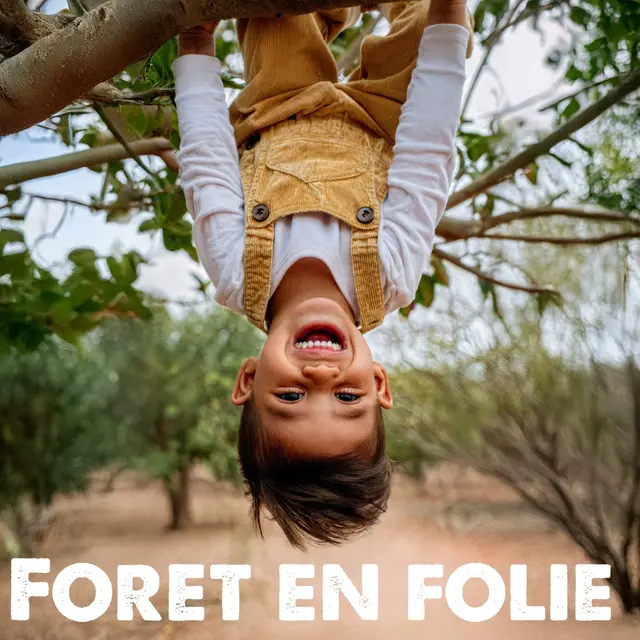 Forêt en Folie_Morillon