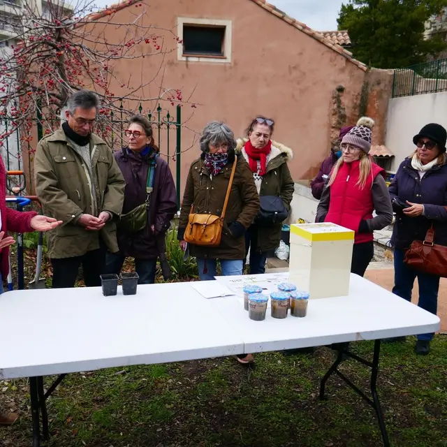Atelier exploration du sol