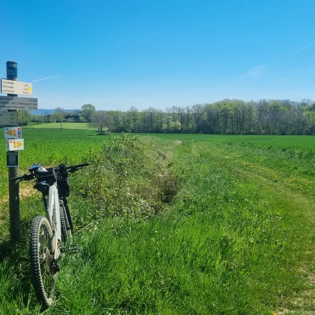 Circuit VTTAE n°5 (rouge) - Etang Pontremble_Montrevel-en-Bresse