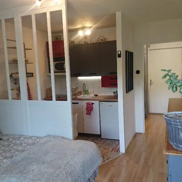 Résidence les Mascareignes - studio 28