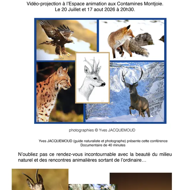 Projection du film Regard Nature de Yves Jacquemoud_Les Contamines-Montjoie