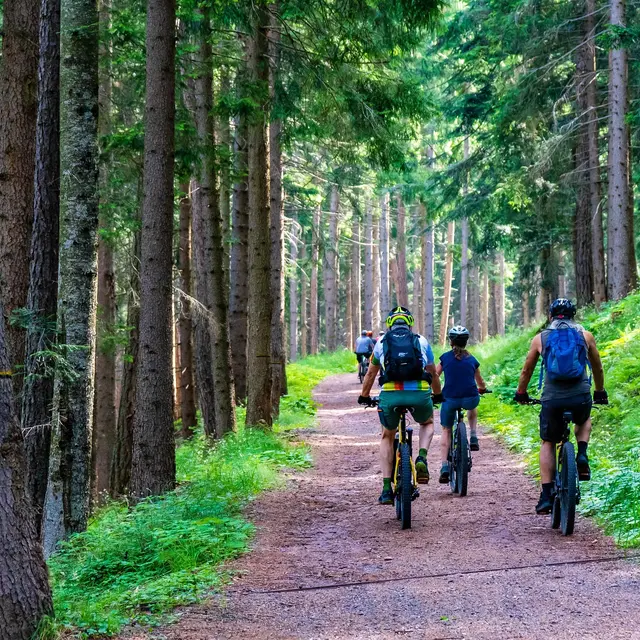 Rando des Balcons Foréziens route et VTT_Boën-sur-Lignon