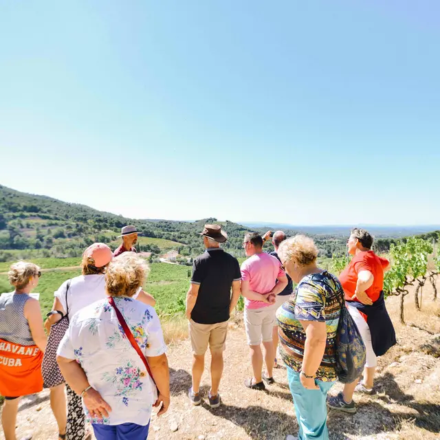 Visite Guidée Clos de Caveau