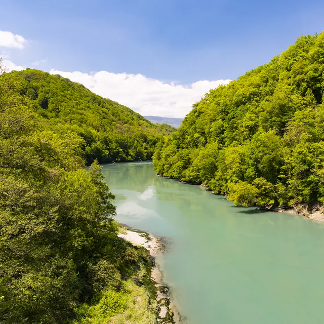 Rives sauvages