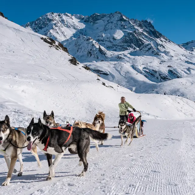 Balade chiens de traîneaux