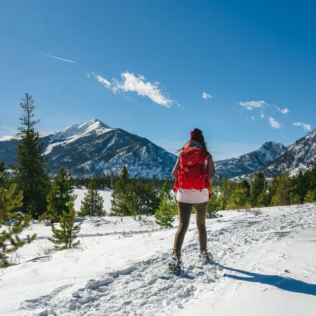 Train des Neiges Casterino_Tende