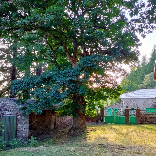 Entrée de la miellerie