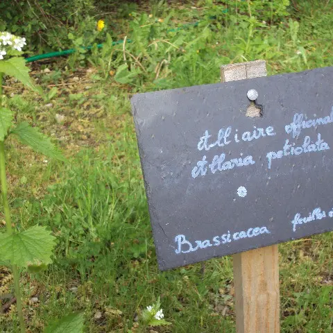 Jardin du camping de l'Ourson