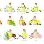 Huiles Essentielles et Hydrolats_Mazet-Saint-Voy