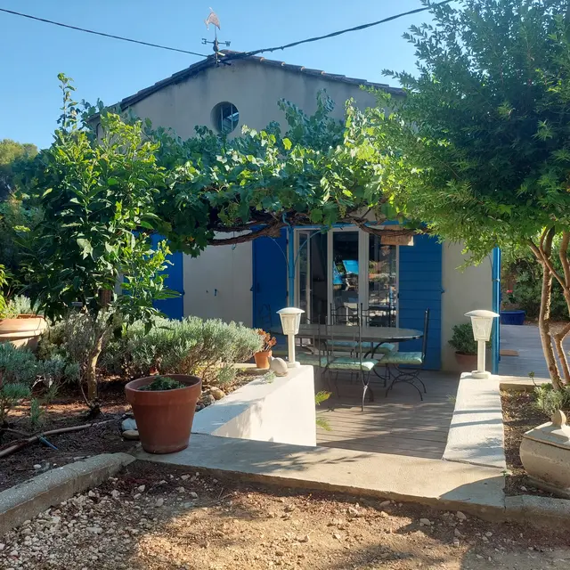 Les Mimosas_Bormes-les-Mimosas
