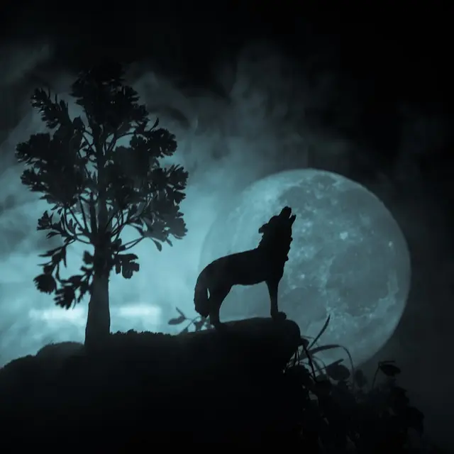 Loup Garou et autres mythes et légendes de la nuit_Saint-Martin-de-Ré