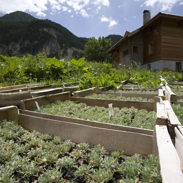 La Ferme de la Clarée