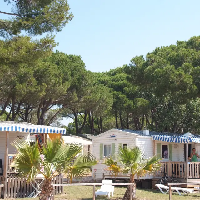 Campingplatz Le Pansard (La Londe-les-Maures) | Cte d'Azur Frankreich