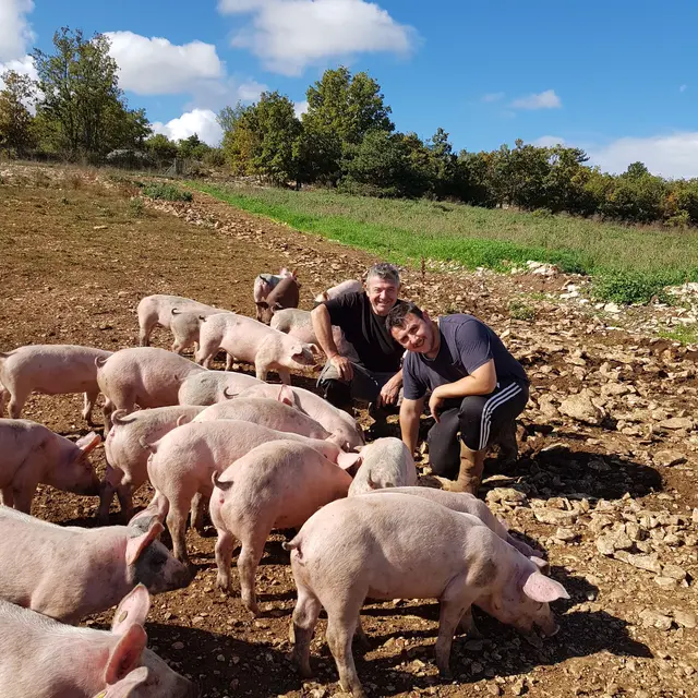 Au Plein Air du Ventoux