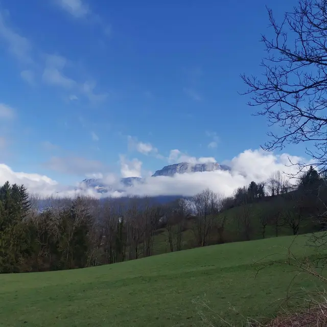 Le chemin de halage à Bluffy