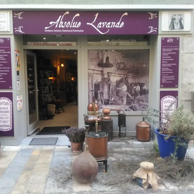 Absolue Lavande à Sisteron