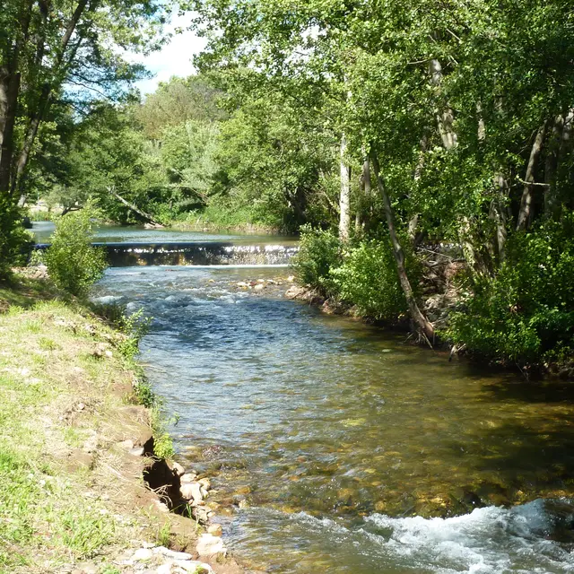 L'air des platanes de Pierrefeu-du-Var