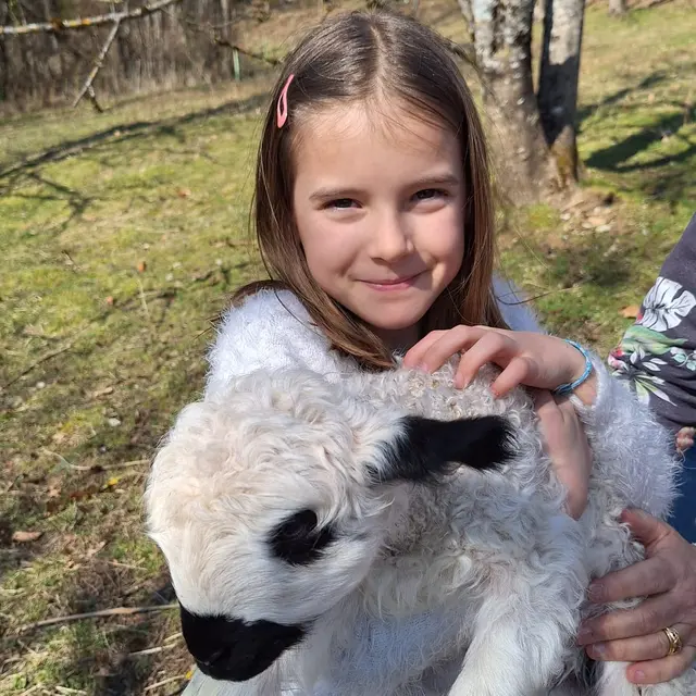 Immersion nature au cœur du troupeau_Mieussy